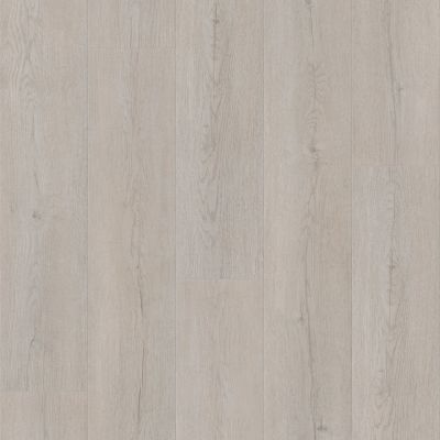 Shaw Builder Flooring Resilient Property Solutions Prominence Plus Misty Grey 05227_VE381