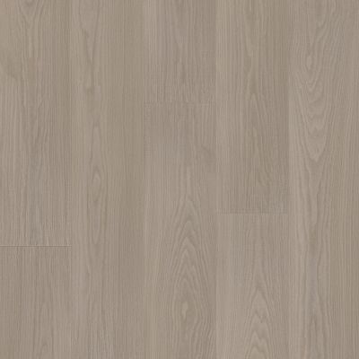 Shaw Floors Resilient Residential Distinction Plus Earthy Taupe 05228_2045V