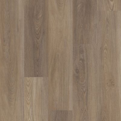 Shaw Floors Resilient Residential Distinction Plus Ash Oak 07065_2045V