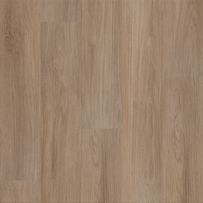 Shaw Builder Flooring Resilient Property Solutions Prominence Plus Hazelnut Brown 07320_VE381