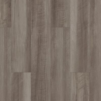 Shaw Floors Resilient Residential Paladin Plus Oyster Oak 00591_0278V
