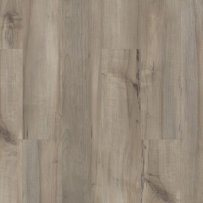 Shaw Floors Resilient Residential Paladin Plus Sea Glass 05092_0278V