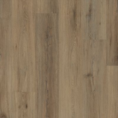 Shaw Floors Resilient Residential Paladin Plus Wild Dunes 07089_0278V