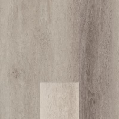 Shaw Floors Resilient Residential Titan HD Plus Modern Oak 05037_2002V