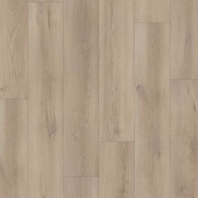 Shaw Floors Resilient Residential Aspire Natural Bevel Mineral Grey 01189_3381V