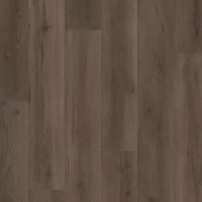 Shaw Floors Resilient Residential Aspire Natural Bevel Frontier Brown 07330_3381V