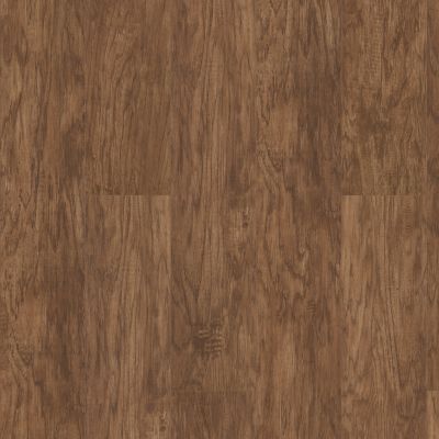 Shaw Floors Resilient Residential Sumter Plus Spice Box 00355_0225V