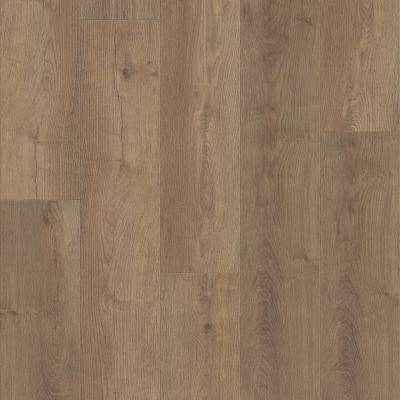Shaw Floors Resilient Residential Fresh Take Cabriole Brown 07301_3415V