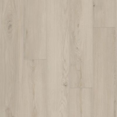 Shaw Floors Resilient Residential AMBITION Silk 01216_3425V