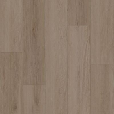 Shaw Floors Resilient Residential AMBITION Mushroom 05255_3425V