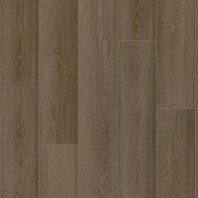 Shaw Floors Resilient Residential AMBITION Espresso 07350_3425V