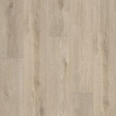 Shaw Floors Resilient Residential Paladin Plus Soft Beige 02094_0278V