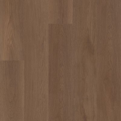 Shaw Floors Resilient Residential Ascent Nb Legend 06030_2832V