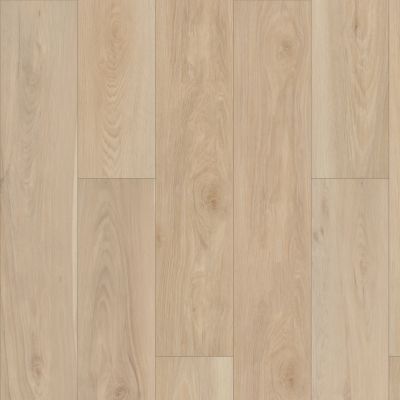 Shaw Floors Costco Wholesale Branded Program Helen HD Plus Alabaster 01098_SMR20