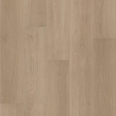 Shaw Floors Resilient Residential Fresh Take Bentwood Tan 02124_3415V