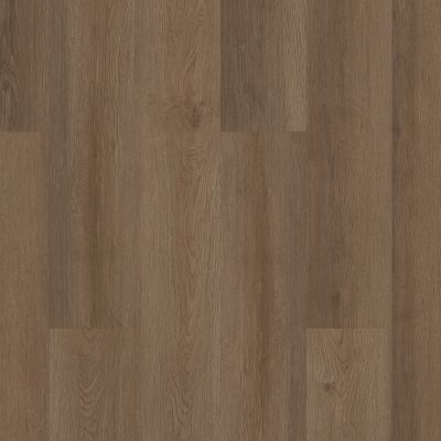 Shaw Floors Resilient Residential Infinite SPC Raw Sienna 00825_3100V