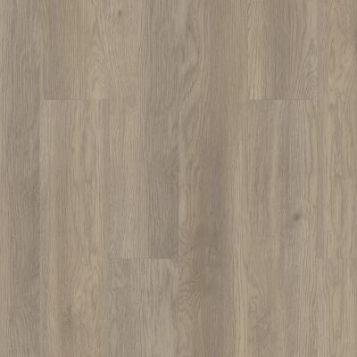 Shaw Floors Resilient Residential Infinite SPC Salt River 02028_3100V
