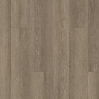 Shaw Floors Resilient Residential Infinite SPC Vista 07192_3100V