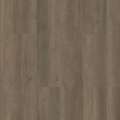 Shaw Floors Resilient Residential Infinite SPC Raconteur 07195_3100V