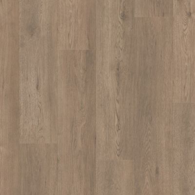 Shaw Floors Resilient Residential Paragon Hd+natural Bevel Winthrop 05259_3038V