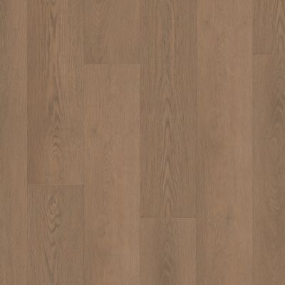 Shaw Floors Resilient Residential Paragon Hd+natural Bevel Rutledge 07353_3038V