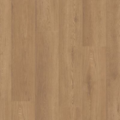 Shaw Floors Resilient Residential Paragon Hd+natural Bevel Davenport 07354_3038V