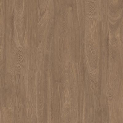 Shaw Floors Resilient Residential PATHWAYS 6 Ember 06053_3550V