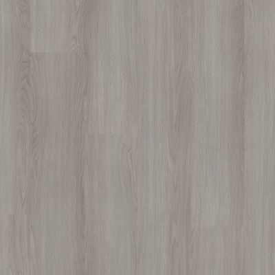 Shaw Floors Resilient Residential PATHWAYS 12 Storm 05264_3553V