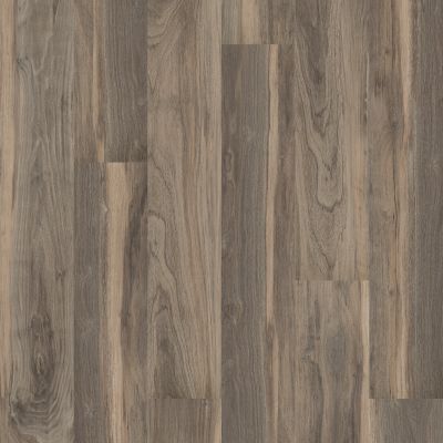 Shaw Floors 5th And Main Symbiotic 5.0 Sparrow 00568_5M308