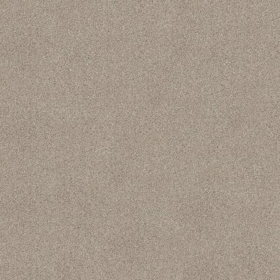 Shaw Floors Value Collections Va107 Catnip 00114_VA107
