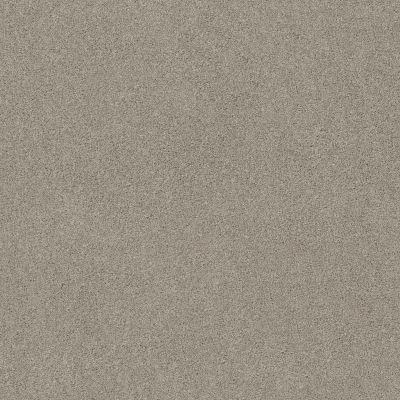 Shaw Floors Value Collections Va107 Frosted Ice 00510_VA107