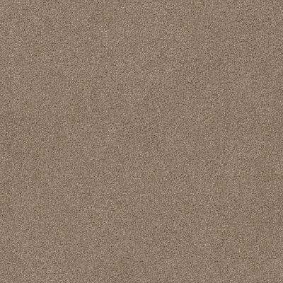 Shaw Floors Value Collections Va107 Sombrero 00710_VA107