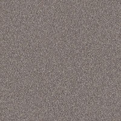 Shaw Floors Value Collections Va137 Net Stainless 00508_VA137