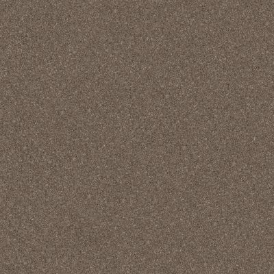 Shaw Floors Value Collections Go After It 3 Net Tree House 00732_VB003