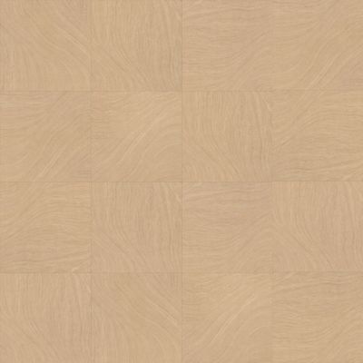 Shaw Floors Resilient Property Solutions Canvas Tile Spring 00201_VE149