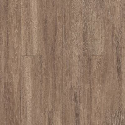 Shaw Floors Resilient Property Solutions Rane 600 Plank Brussels 00235_VE151