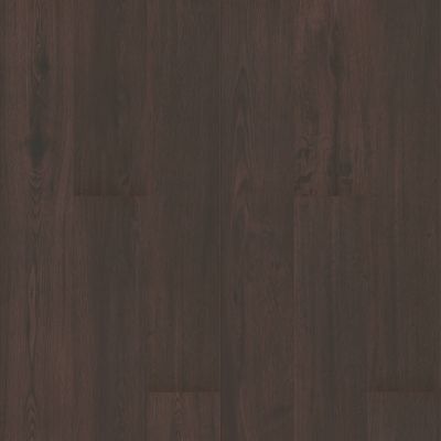 Shaw Floors Resilient Property Solutions Rane 600 Plank Barcelona 00791_VE151