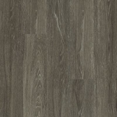 Shaw Floors Resilient Property Solutions Downtown Usa12 Michigan Ave 00564_VE221