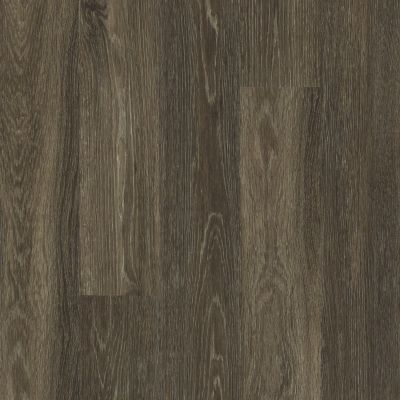 Shaw Floors Resilient Property Solutions Downtown USA 20 Lakeshore Dr 00774_VE222