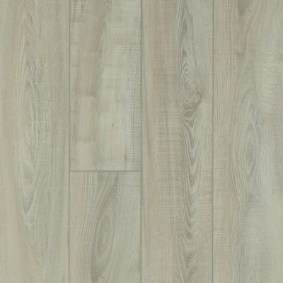 Shaw Floors Resilient Property Solutions Supino HD Plus Tufo 00589_VE231