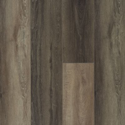 Shaw Floors Resilient Property Solutions Colossus HD Plus Plato Oak 07043_VE243
