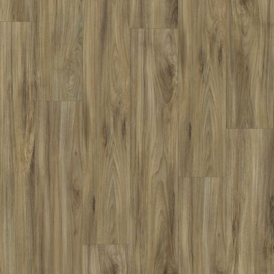 Shaw Floors Resilient Property Solutions Presto 306c Whispering Wood 00405_VE245