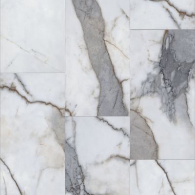 Shaw Floors Resilient Property Solutions Urban Organics Michelangelo Marble 01107_VE280