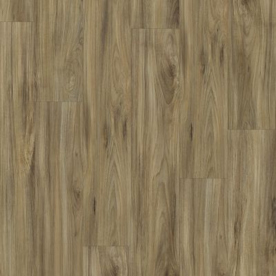 Shaw Floors Resilient Property Solutions Presto Plus Whispering Wood 00405_VE284