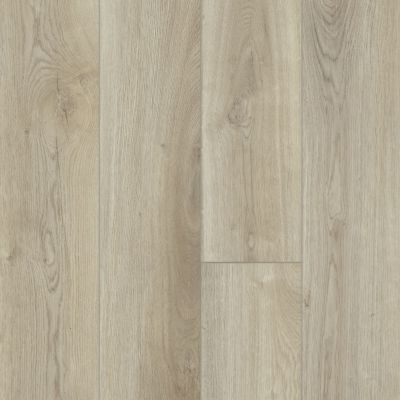 Shaw Floors Resilient Property Solutions Prominence Plus French Oak 00257_VE381