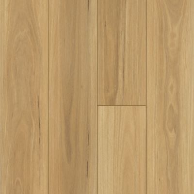 Shaw Floors Resilient Property Solutions Prominence Plus Eucalyptus 00694_VE381