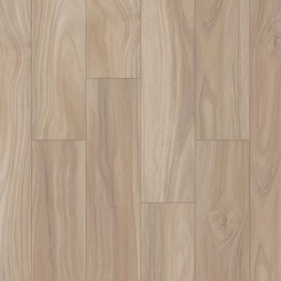 Shaw Floors Resilient Property Solutions Prominence Plus Terraced Acacia 01092_VE381