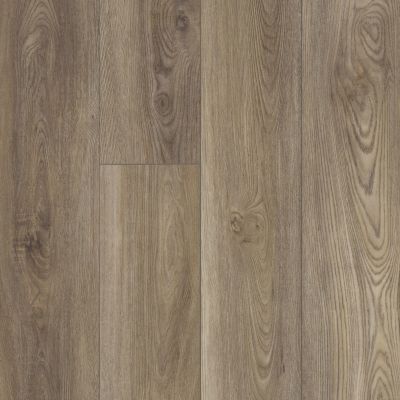 Shaw Floors Resilient Property Solutions Prominence Plus Ash Oak 07065_VE381