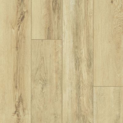 Shaw Floors Resilient Property Solutions Resolute XL HD Plus Classic Oak 00253_VE387