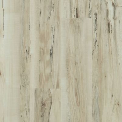 Shaw Floors Resilient Property Solutions Elan Plank Mineral Maple 00297_VE388